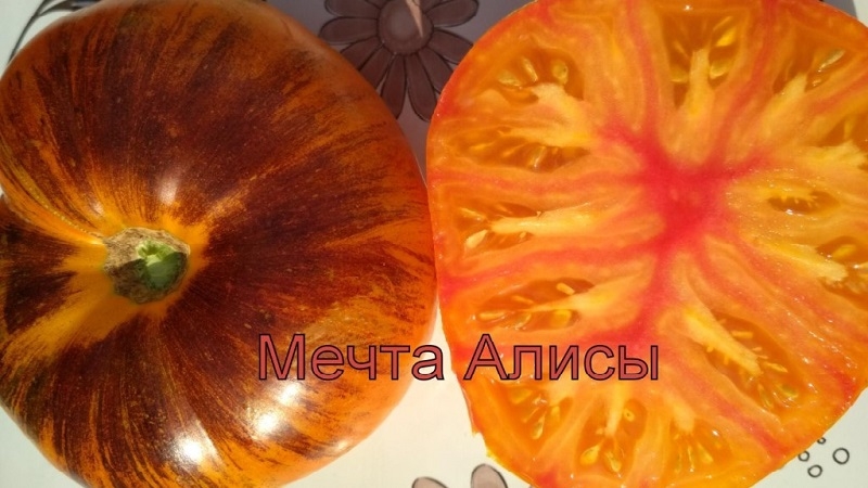 Des fruits bicolores fascinants au goût incroyable: la tomate Alice's Dream