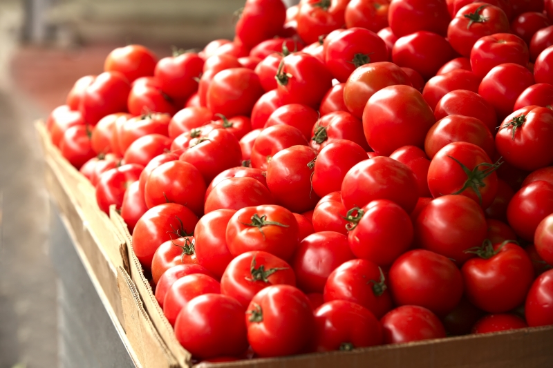 Pitäisikö minun istuttaa Betta-tomaatti sivustolleni? Lajikkeen ominaisuudet ja valokuvat, kasvatuksen vivahteet