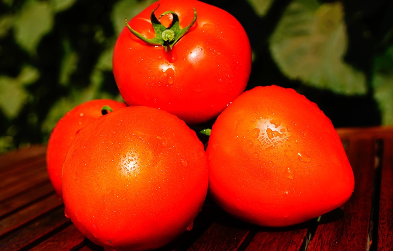 Jedna z najwcześniejszych odmian pomidorów - francuska hybryda Supernova F1