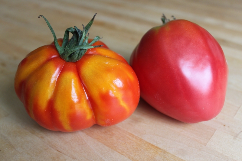 Raná rajčata pro šťávy, saláty a konzervaci Fatima - charakteristika a popis odrůdy