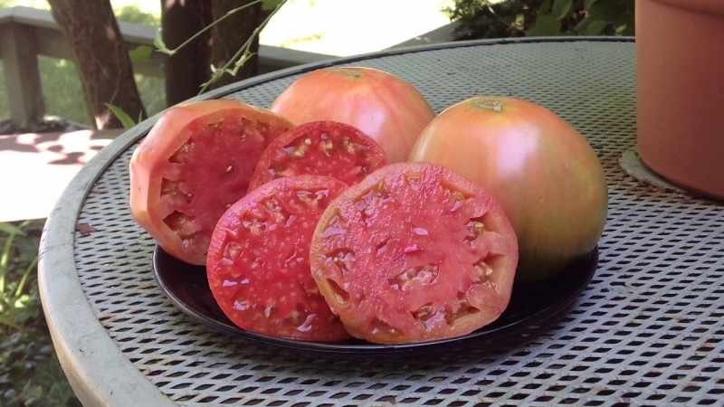 Tomates maduros precoces para sucos, saladas e conservação Fátima - características e descrição da variedade