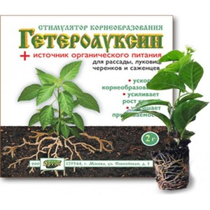Variété de poivre Morozko à haut rendement et à maturation précoce pour les serres et les terrains ouverts