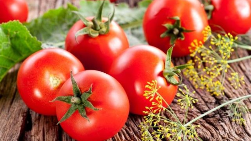 Nos familiarizamos con el tomate Irishka F1 e intentamos cultivarlo en nuestro sitio.