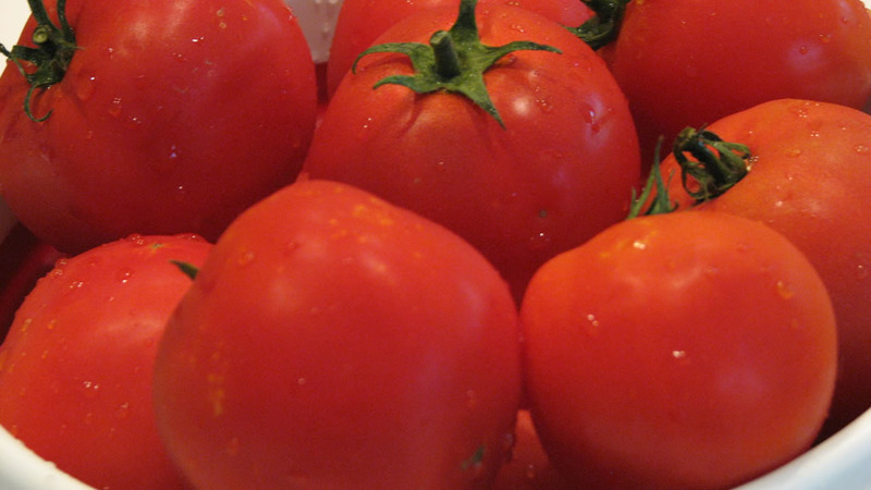 Üretken bir domates toplu çiftliği yetiştirerek, minimum maliyet ve riskle yüksek verim elde ederiz