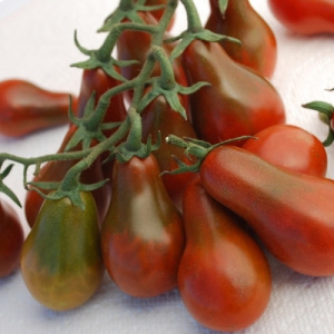 Interessant uiterlijk en aangename smaak voor kenners van ongewone variëteiten - Black Pear-tomaat