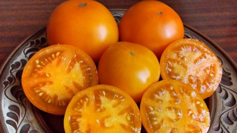 Phép màu Tomato Orange là một khám phá thực sự cho bất kỳ cư dân mùa hè nào