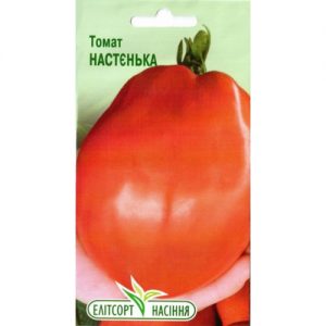 Une variété aussi bonne pour une serre que pour un terrain dégagé - la tomate Nastenka et sa méthode de culture