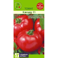 Une décoration lumineuse sur vos lits - Tomate Kakadu F1: critiques et secrets pour obtenir une récolte abondante