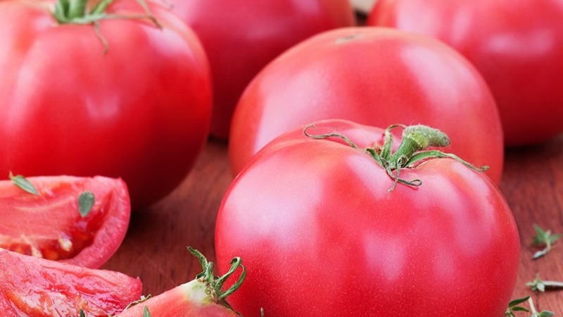 Ei omituinen hoitaa, mutta samalla rikas sato, tomaatti Simpyaga: valokuvia, arvosteluja ja kasvatuksen salaisuuksia