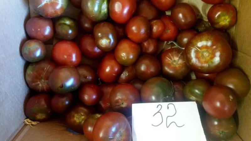 Alışılmadık bir renge ve benzersiz tada sahip iddiasız bir çeşit - Kara Prens domates ve yetiştiriciliğinin özellikleri