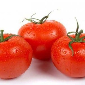 Por que o tomate é tão amado e popular O sonho de Gardener: descrição da variedade e avaliações de experientes residentes de verão
