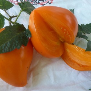 فاكهة البرتقال اللذيذة العملاقة - الطماطم والبرتقال والفراولة