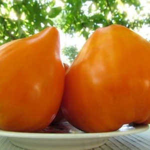 Riesige köstliche Orangenfrucht - Tomatenorangenerdbeere