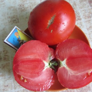 Mięsiste i słodkie owoce na Twój stół - pomidor Sugar pudovichok: charakterystyka i opis odmiany