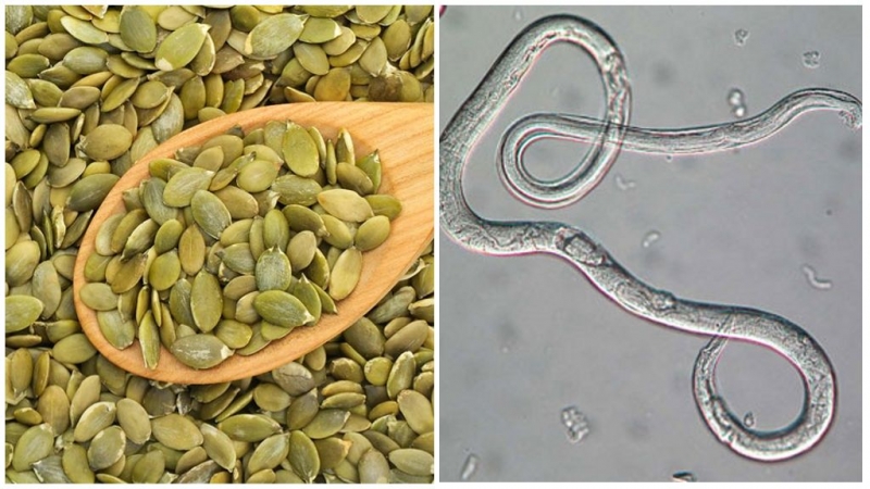 Proč jsou dýňová semena užitečná a jak je správně používat