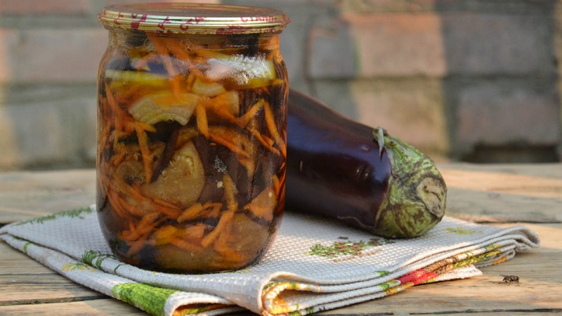 Cooking eggplants like mushrooms for the winter: recipes that guests will definitely ask for