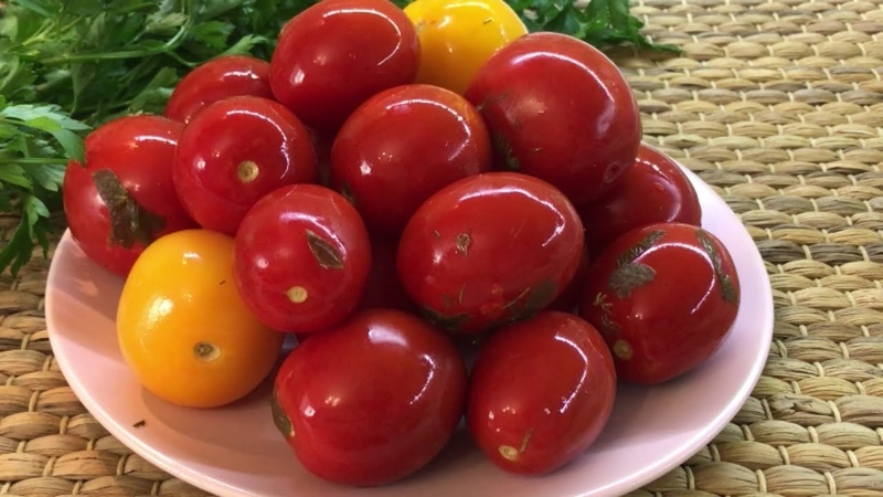 Top 10 der besten Rezepte zum Einlegen von Tomaten in einen Topf: die schnellsten, einfachsten, aber köstlichsten Kochoptionen