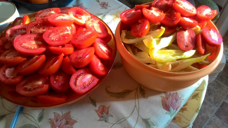 Οι 10 καλύτερες συνταγές για να μαζέψετε ντομάτες σε μια κατσαρόλα: οι ταχύτερες, ευκολότερες, αλλά νόστιμες επιλογές μαγειρέματος