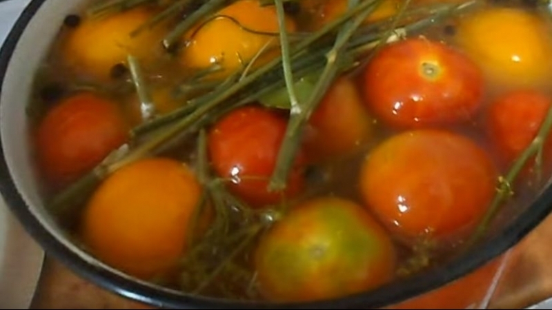 Top 10 der besten Rezepte zum Einlegen von Tomaten in einen Topf: die schnellsten, einfachsten, aber köstlichsten Kochoptionen