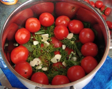 Topp 10 bästa recept för att syltta tomater i en kastrull: de snabbaste, enklaste men läckra matlagningsmöjligheterna