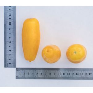 Nevjerojatna sorta za ljetne stanovnike-eksperimentalce - noge banana od rajčice i preporuke za njegovo uzgoj