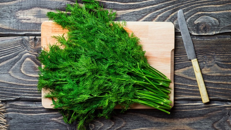 A tasty and healthy way to fight obesity: dill for weight loss