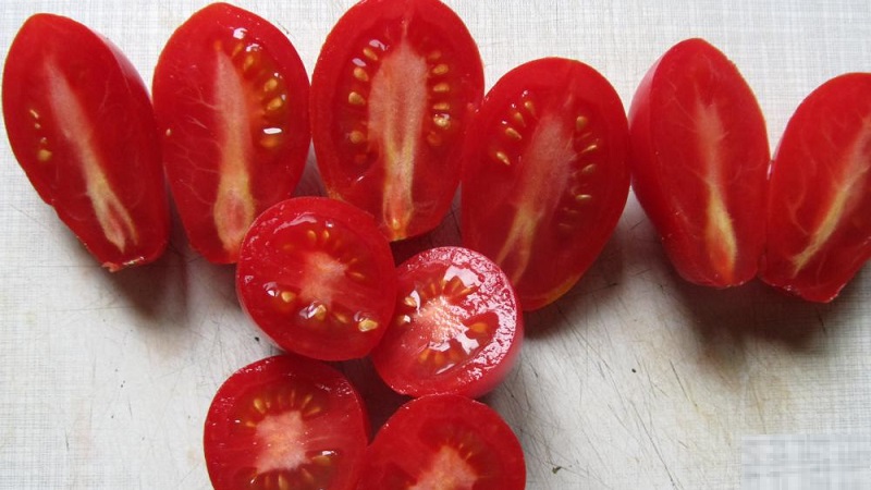 En rik skörd av små plommotomater från varje buske - tomat Rosa rosin och hemligheterna för att ta hand om den
