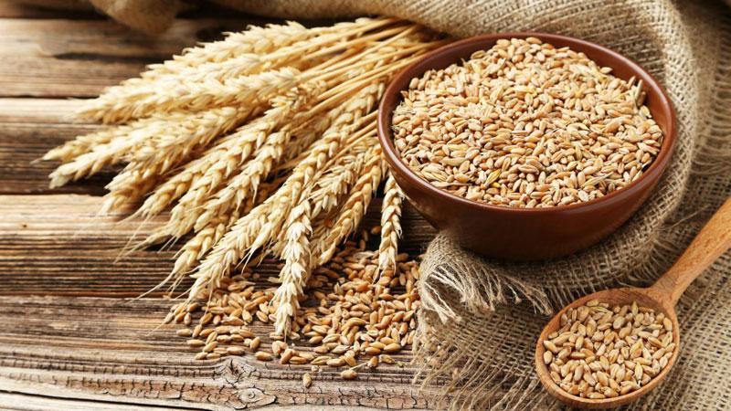 Çavdardan ne yapılır ve bu mısır gevreği nasıl faydalıdır?
