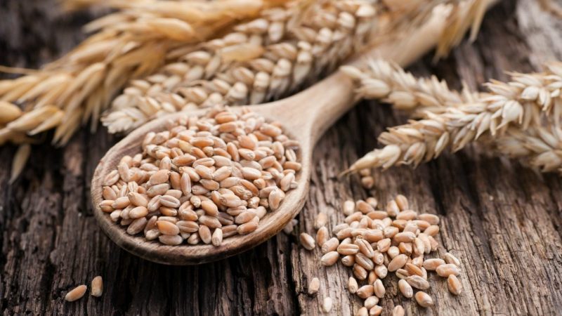 O que é feito de centeio e como esse cereal é útil?