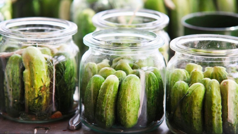 Hoe komkommers met kaneel voor de winter te bereiden: ongebruikelijke maar heerlijke recepten