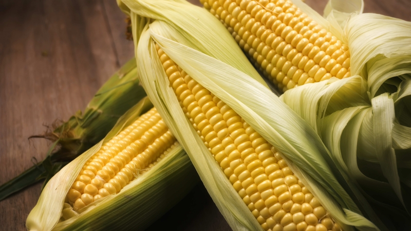 Teneur en calories du maïs et caractéristiques de sa composition: vitamines, minéraux et propriétés utiles de la reine des champs