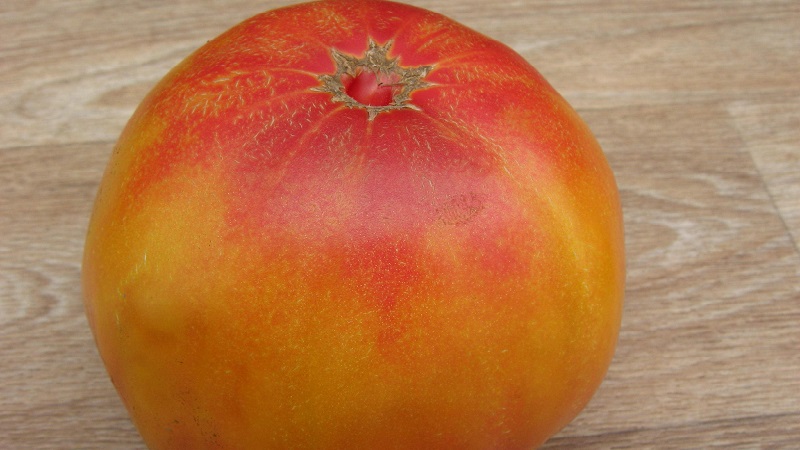 Large-fruited variety, from which summer residents are delighted - tomato Riddle of nature