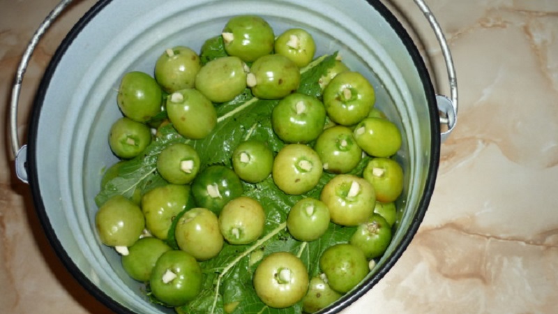 Beste methoden voor het koud beitsen van groene tomaten in een emmer
