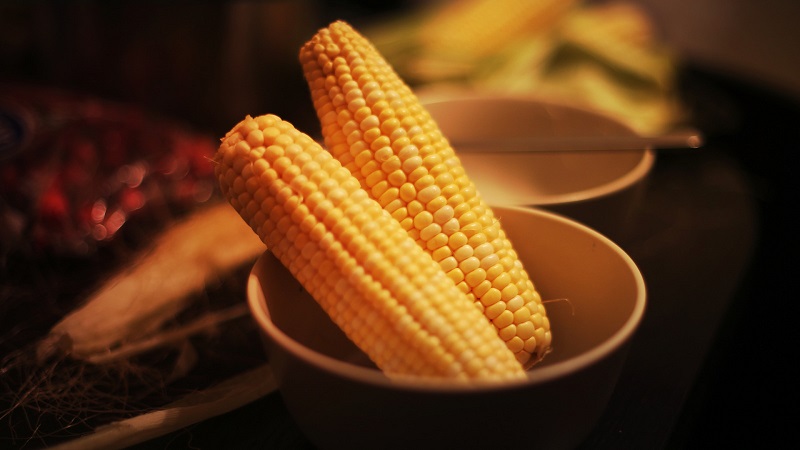 Да ли је могуће јести кухан кукуруз за гастритис: аргументи за и против, контраиндикације