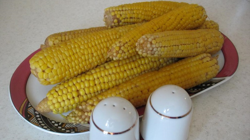 Да ли је могуће јести кувани кукуруз док губите килограме: калоријски садржај, штетност и користи житарица