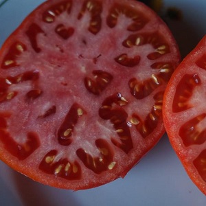Poradnik dotyczący uprawy rosyjskiego pomidora bogatyra na otwartym polu lub w szklarni dla początkujących ogrodników