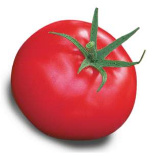 Tomate Aphrodite f1 îndrăgită de grădinarii din toate regiunile țării: recenzii, avantaje și dezavantaje ale soiului