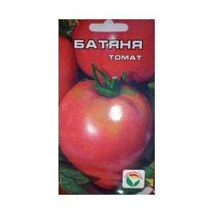 Batianya clássico tomate rosa em forma de coração: comentários e fotos da colheita de tomates resultante