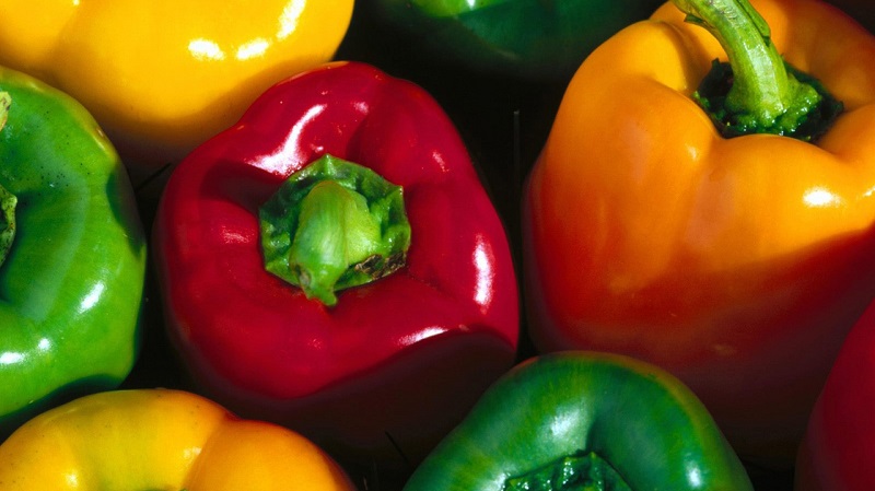 Κορυφαίες 10 καλύτερες πιπεριές με χοντρό τοίχωμα για εξωτερική χρήση