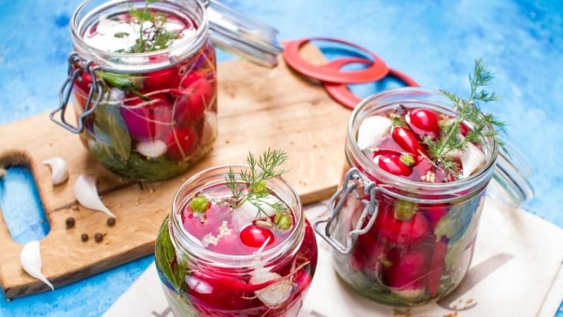 Берба ротквица за зиму: једноставни и укусни рецепти за здраве грицкалице