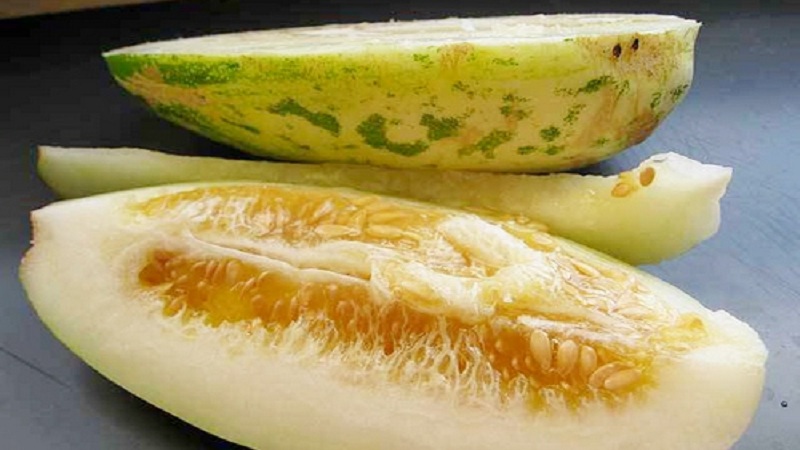 ¿Qué es el pepino, cómo se cultiva y se come?