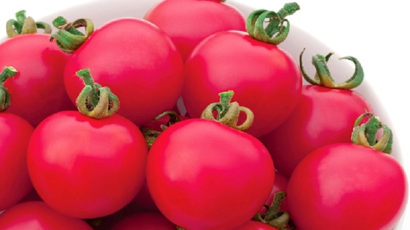 Wat je geweldig zult vinden aan Pink Paradise Hybrid Tomato