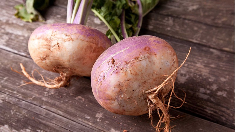 What is the Difference Between Turnip and Turnip and How to Distinguish Them