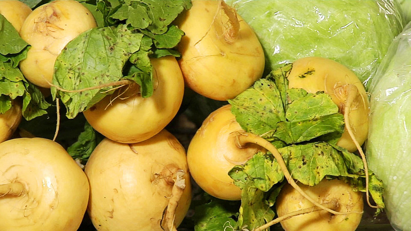 What is the Difference Between Turnip and Turnip and How to Distinguish Them