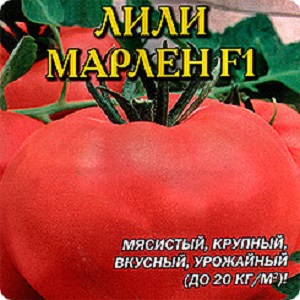 En tidlig moden hybrid med en eksepsjonell smak - tomat Lily Marlene f1