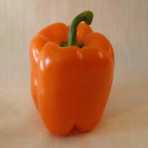Saftig og produktiv rød okse pepper for dyrking av uvanlig velsmakende frukt på nettstedet ditt