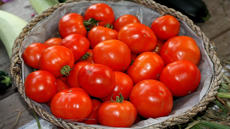 Bella çiğ hibrit domates ve nasıl doğru şekilde yetiştirileceği
