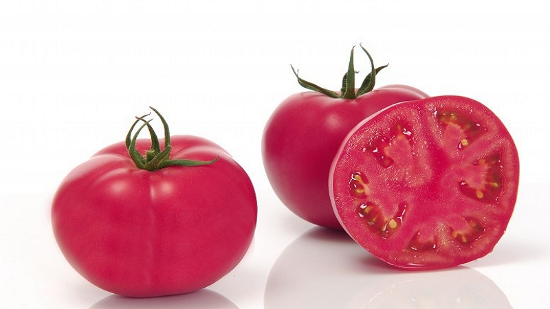 Isang mestiso na ginawa ng mga breeders ng Hapon - ang Pink Impression tomato at ang mga nuances ng paglilinang nito
