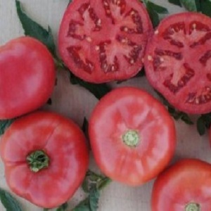 Isang mestiso na ginawa ng mga breeders ng Hapones - Pink Impression tomato at ang mga nuances ng paglilinang nito