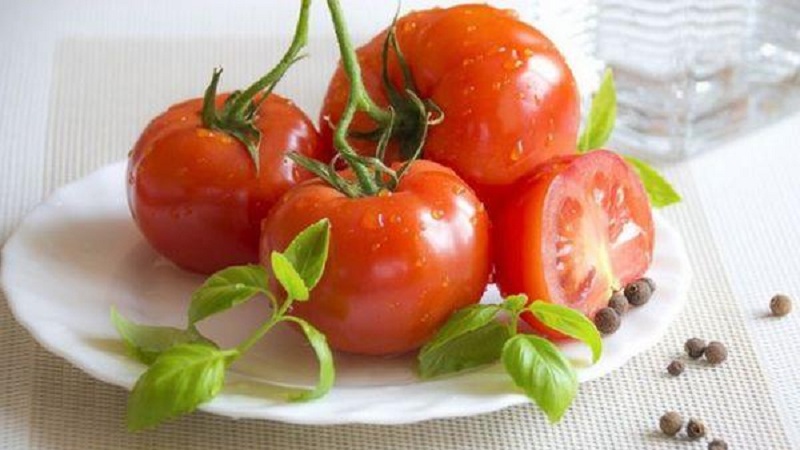 Isang mahusay na hybrid para sa bukas na lupa - ang Shedi lady tomato f1: lumalaki kami ng hindi mapagpanggap na mga kamatis nang walang abala